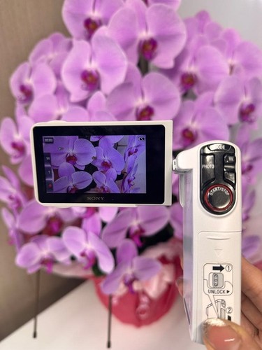 Sony hdr gw77v handycam - sony,